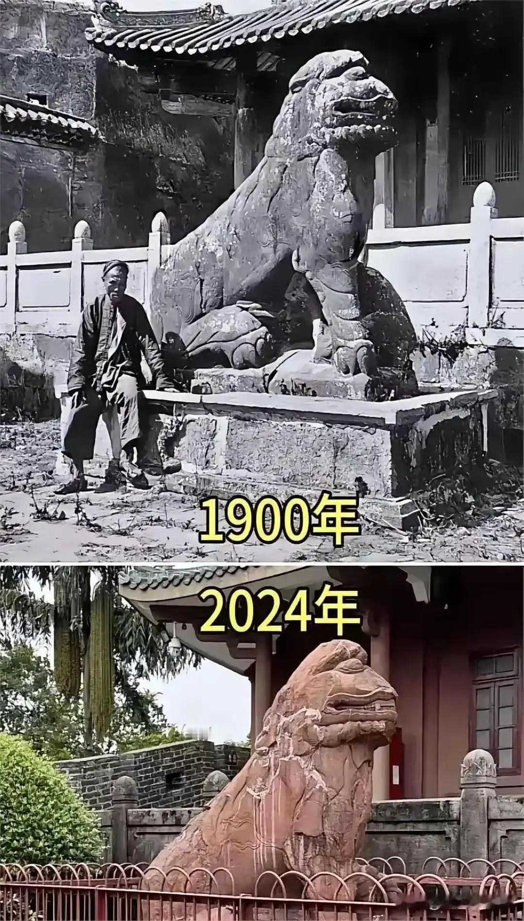 经过124年洗礼，狮子都秃了 ​​​
