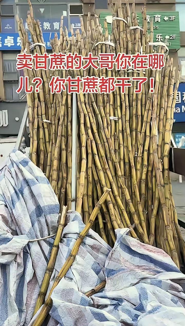 “太暖心了，四川，一男子发现，楼下常年摆摊卖甘蔗的大哥从过年之后就没出摊了，路边