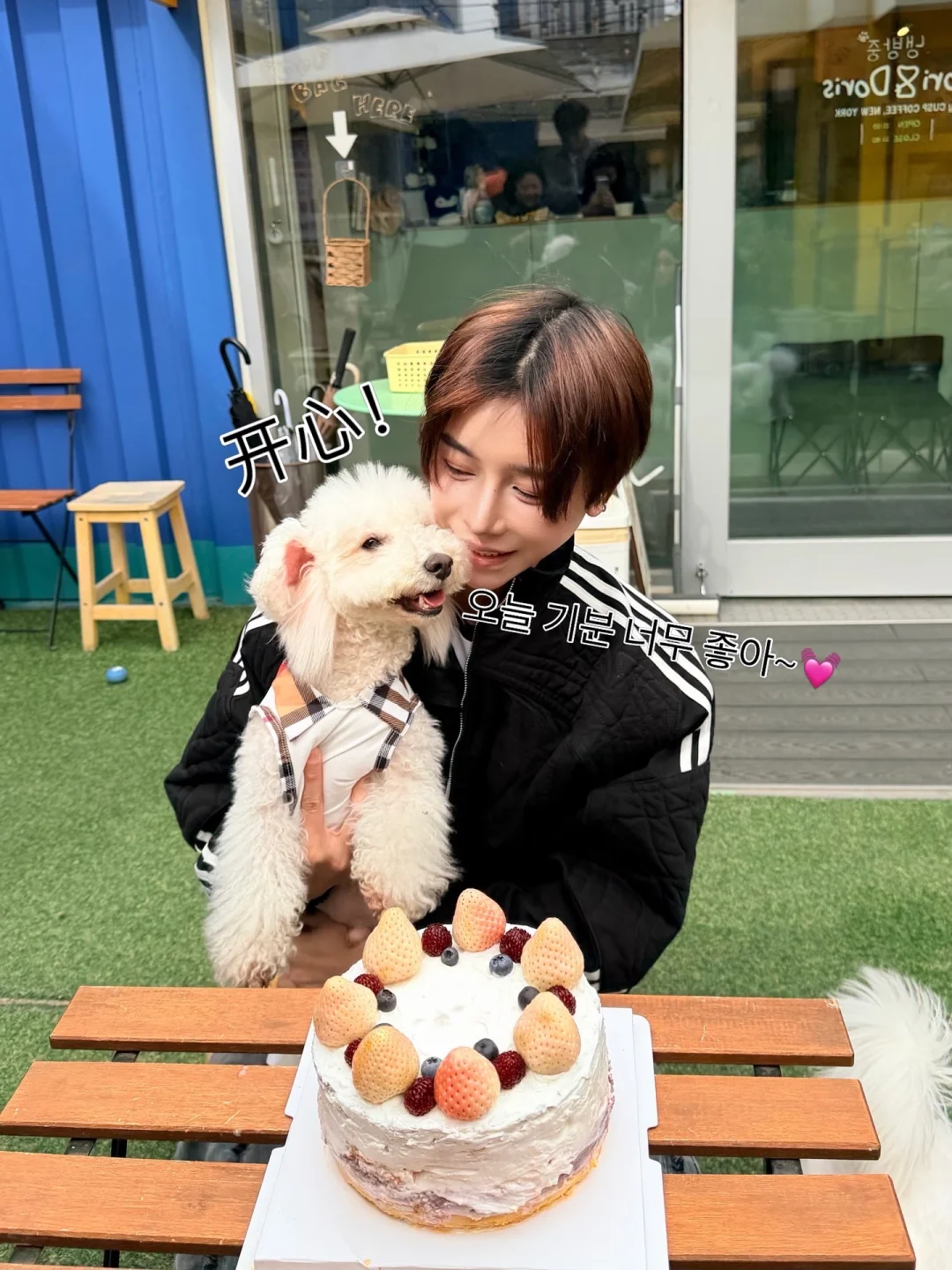 给小狗过生日来参加的朋友比我生日都多…