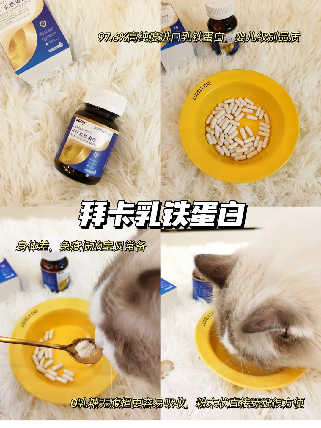 🐾迟来的多猫家庭双十一购物分享-🔟月