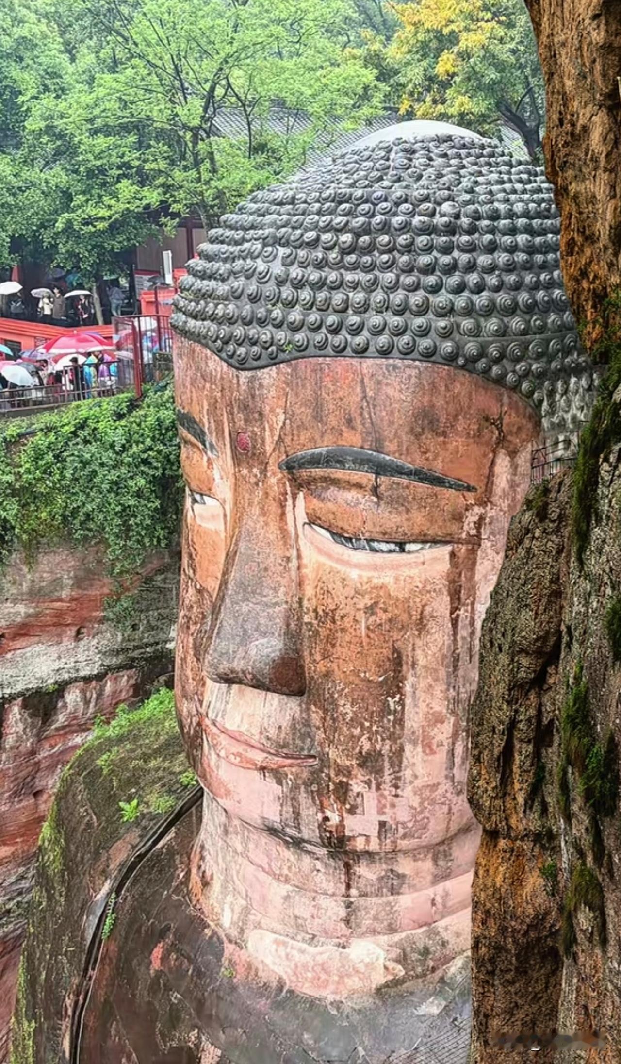 古人的智慧也是矛盾的：不信请看
天上不会掉馅饼：瞎猫碰上死耗子
大丈夫能屈能伸：