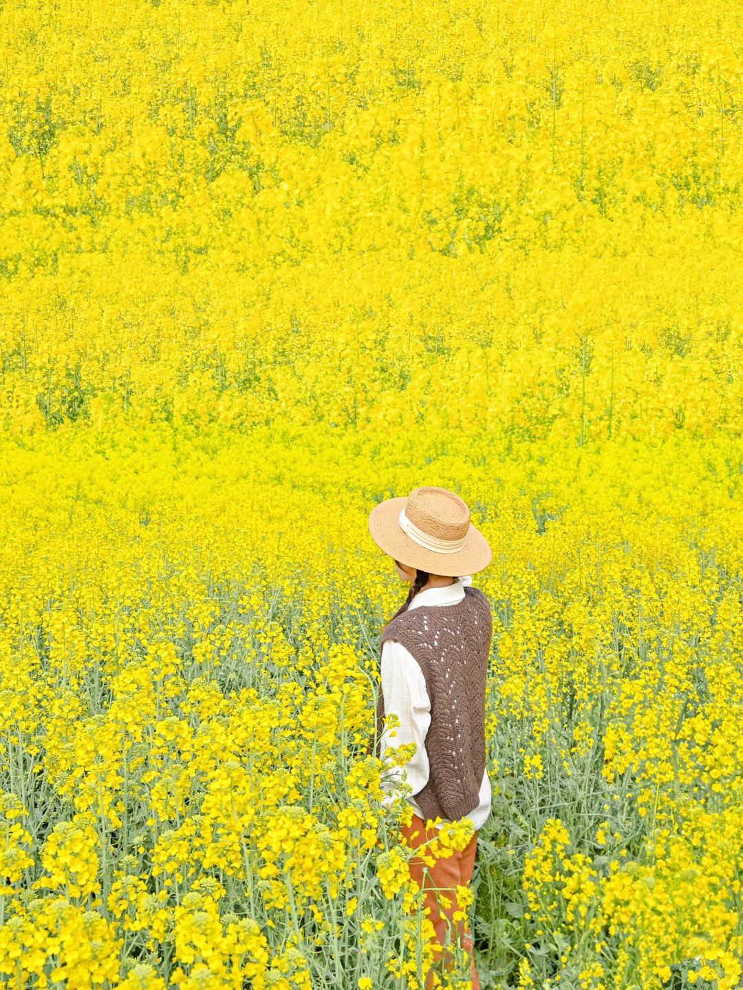春游记｜风里都是春天油菜花的味道🌼
