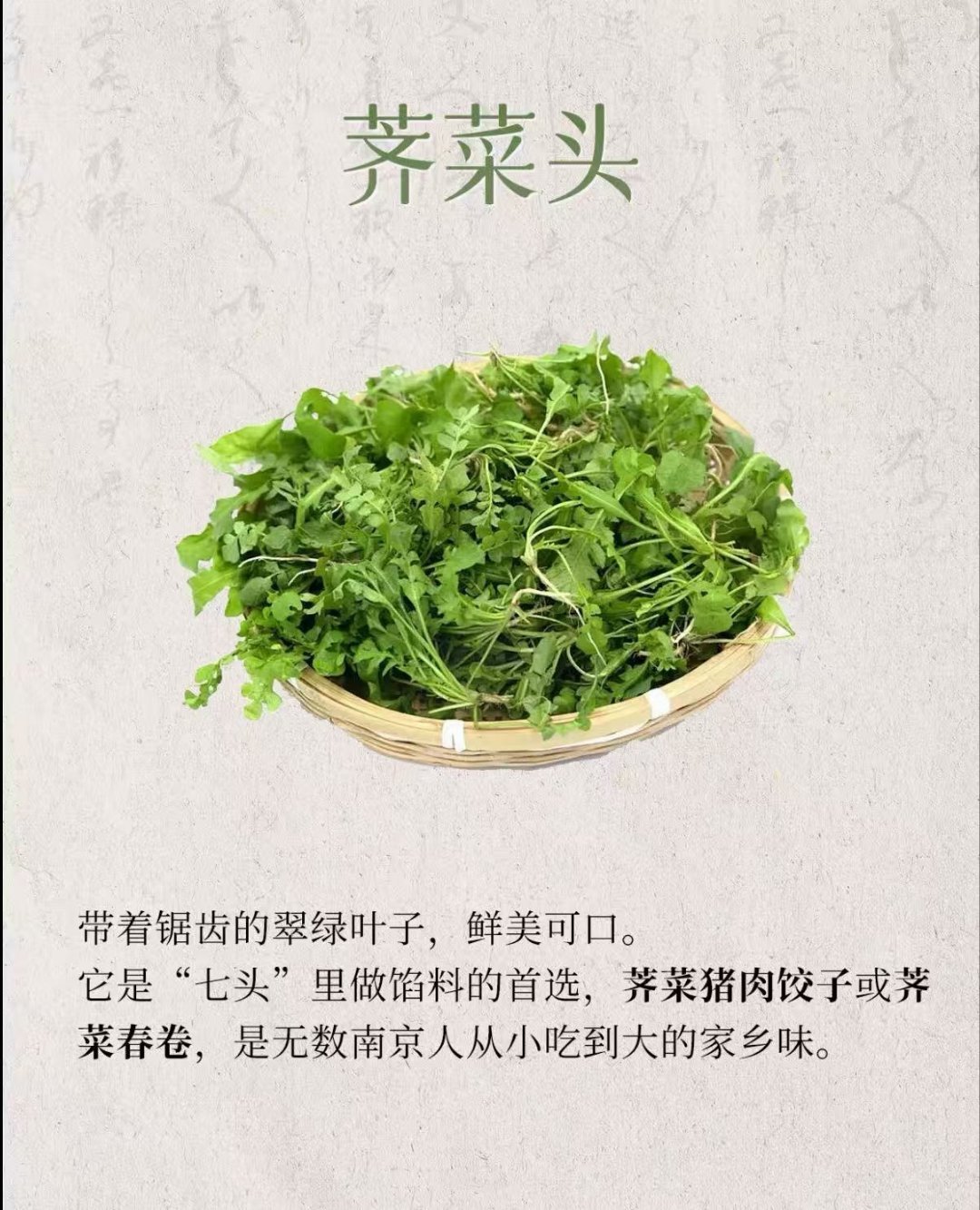 南京春菜顶流七头一脑价格大降 这八种时令野菜！算得上是春日餐桌上的主角，我们的日