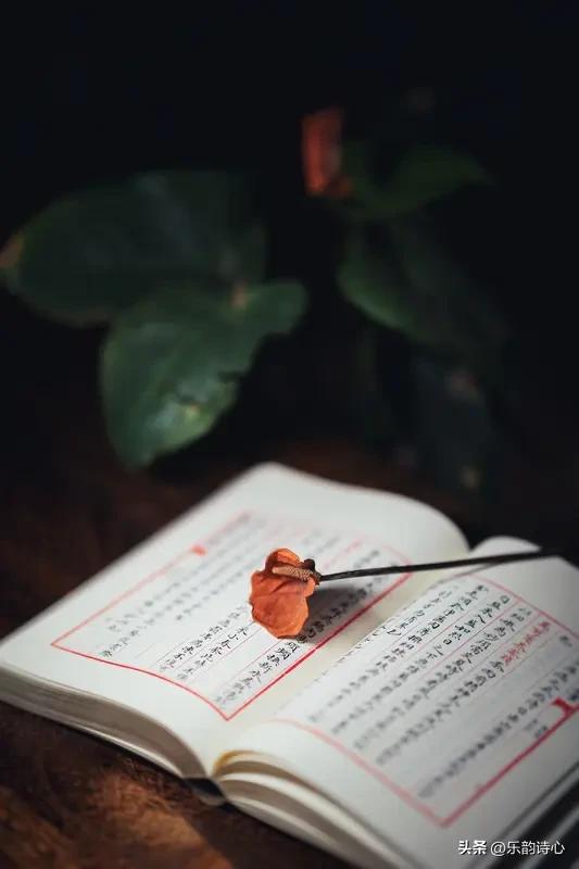 岁月无情催人老，诗书有味伴心安。这上联道尽时光匆匆，下联则是心灵慰藉。我觉得可以