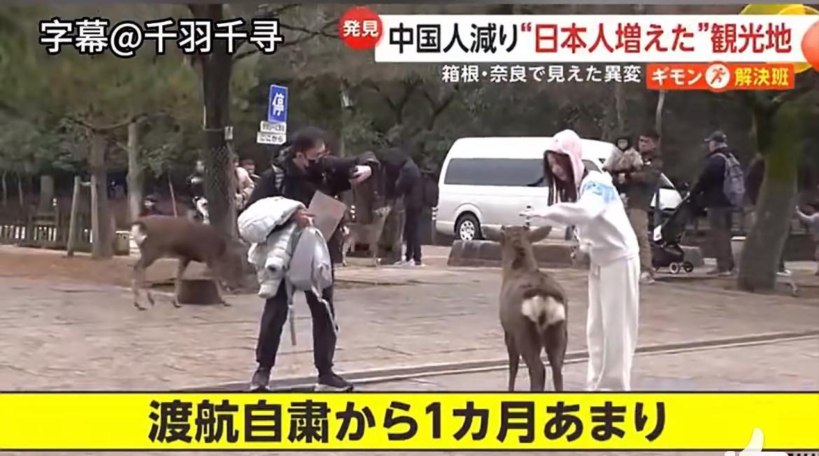 坡县说日本没有中国游客没有任何影响，现实是酒店业老板哭诉快要倒闭了，免税店收入暴