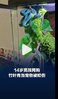 “悲剧还是发生了！”上海，一名14岁男孩因猎奇心理，在二手交易平台网购剧毒竹叶青