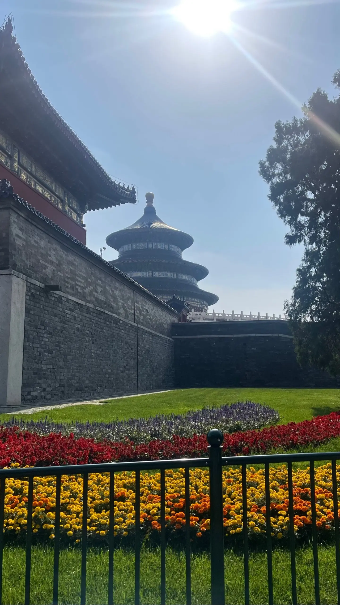 𝘁𝗼𝗱𝗮𝘆 :)活在每个被阳光晒透的瞬间.