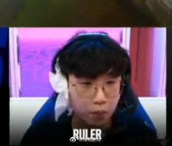 13826【偶尔一尺狗】这是啥狗 