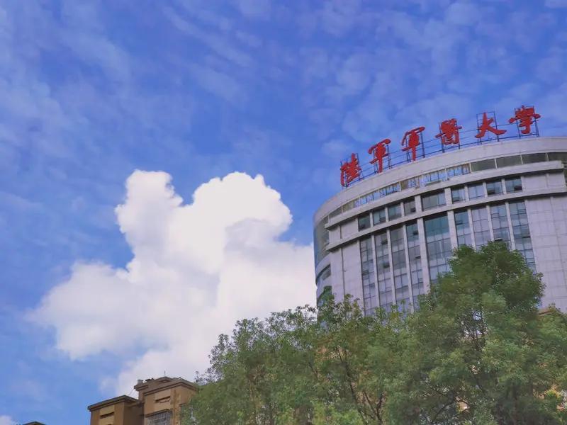 除此之外，南方医科大学，吉林大学白求恩医学院也是具有鲜明军医类医学院校基因的闻名