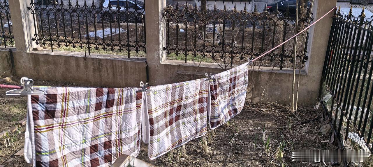 这几天气温回升，天气不错，我把老妈用的隔尿垫晒到外头，趁阳光好，消消毒，把她的被