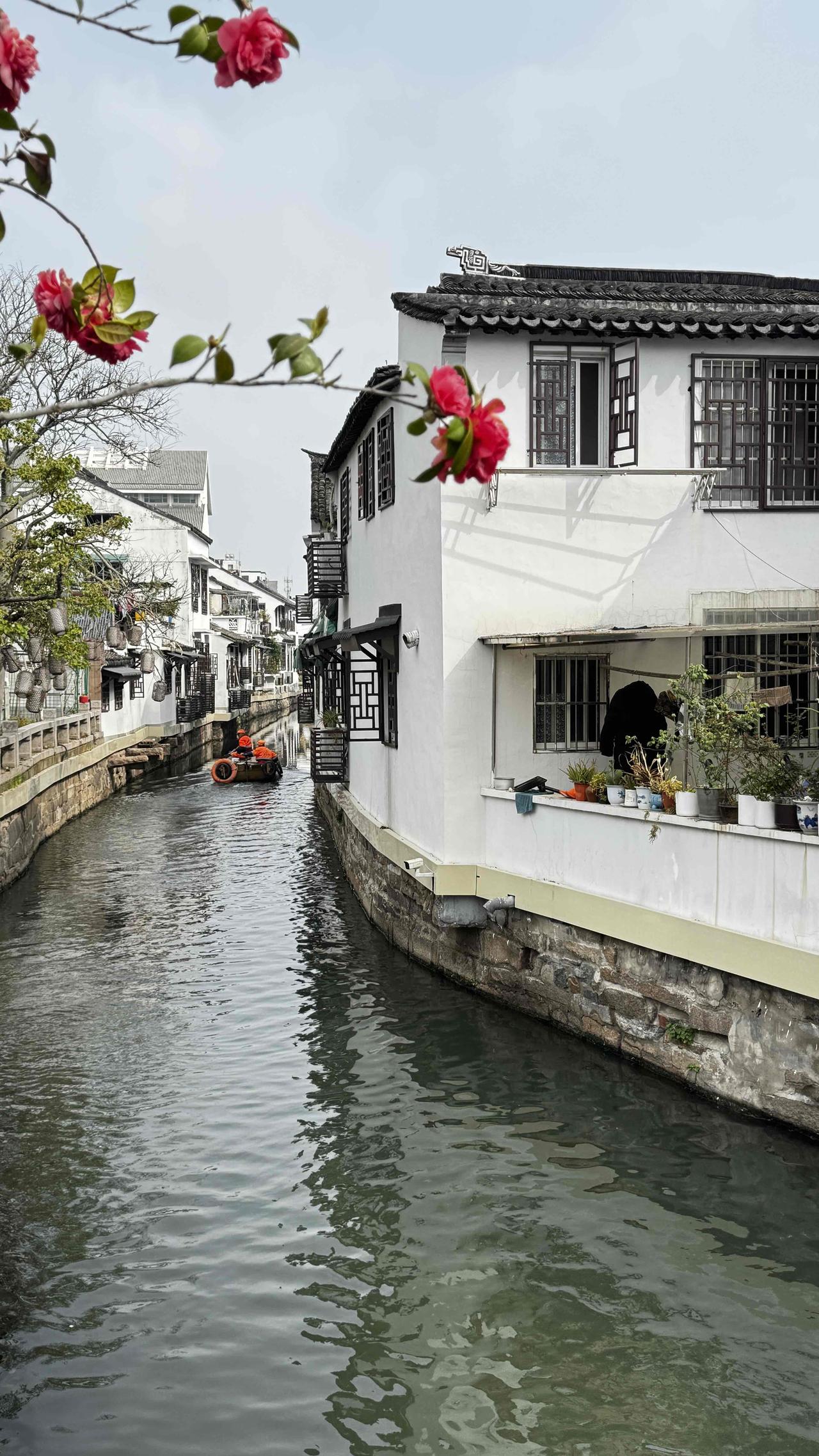 我家就傍着这条水巷而居，岁岁年年，流水依旧，水巷却越变越清雅秀美。