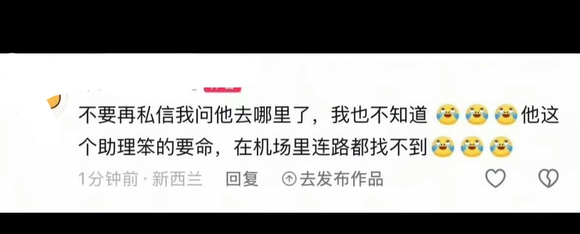投 卤蛋我能信任你吗，你要好好的懂点事，照顾好张真源，英文啥的有张真源就够了，你