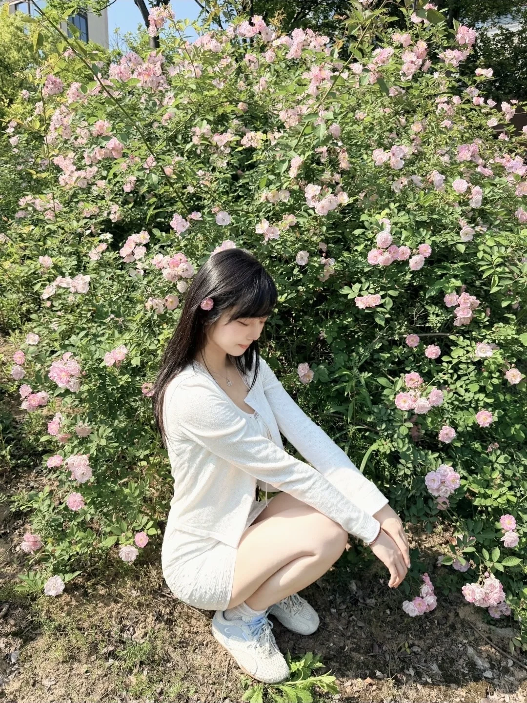 蹲一蹲🌸