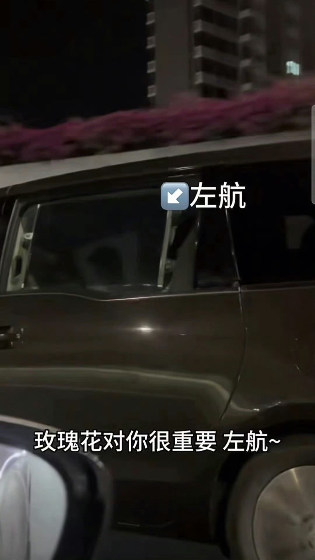 抱歉我直接幻视ss喊话 而且车里居然放的是身骑白马 
