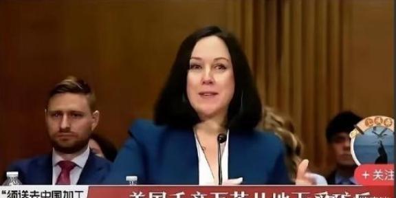 美国终于知道被我们卡脖子的疼痛了，一位美国稀土专家说：他们费尽周折从地下开采出稀