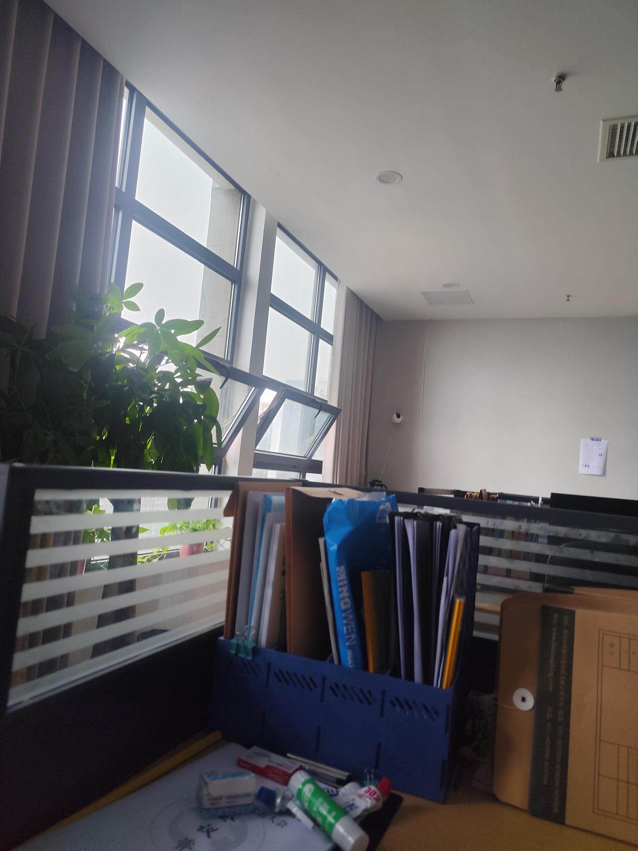 做了8年全盘手工账，本想在高新区找一家正规医疗器械企业安稳做账，只待一天就看清全