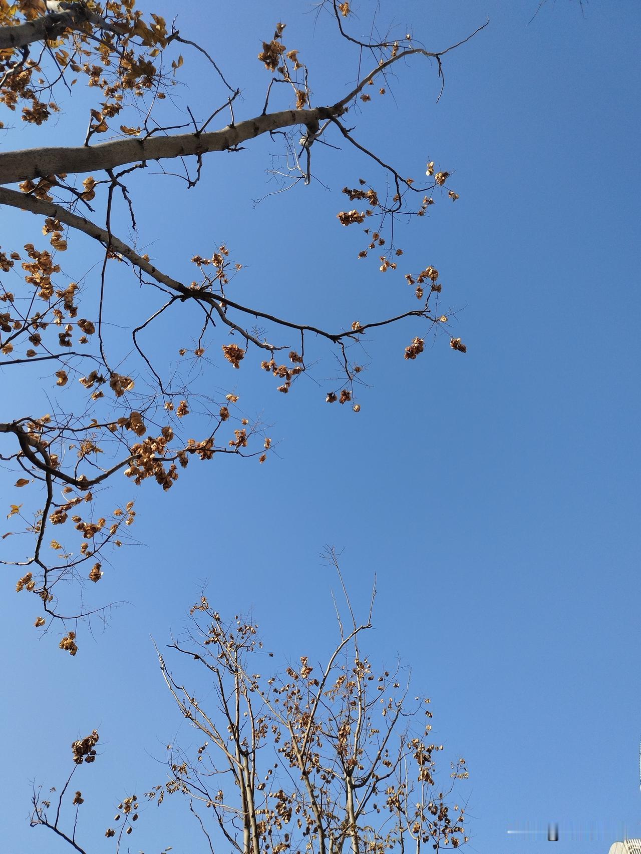 地铁上刷一集，电梯里看一段，这种快餐剧即时满足了胃口~

这跟咱们在头条上写东西