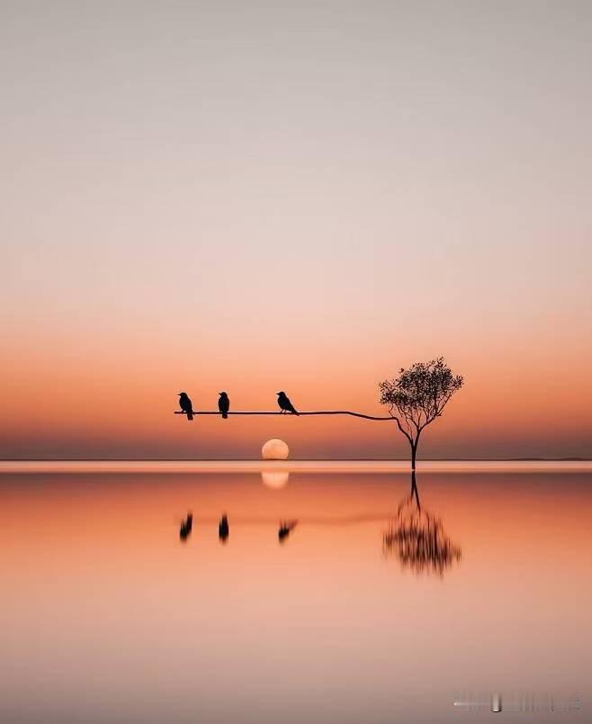 点子真背，手中的海格通信连续两天一字板跌，卖也卖不掉，天天血流成河但连割肉的机会