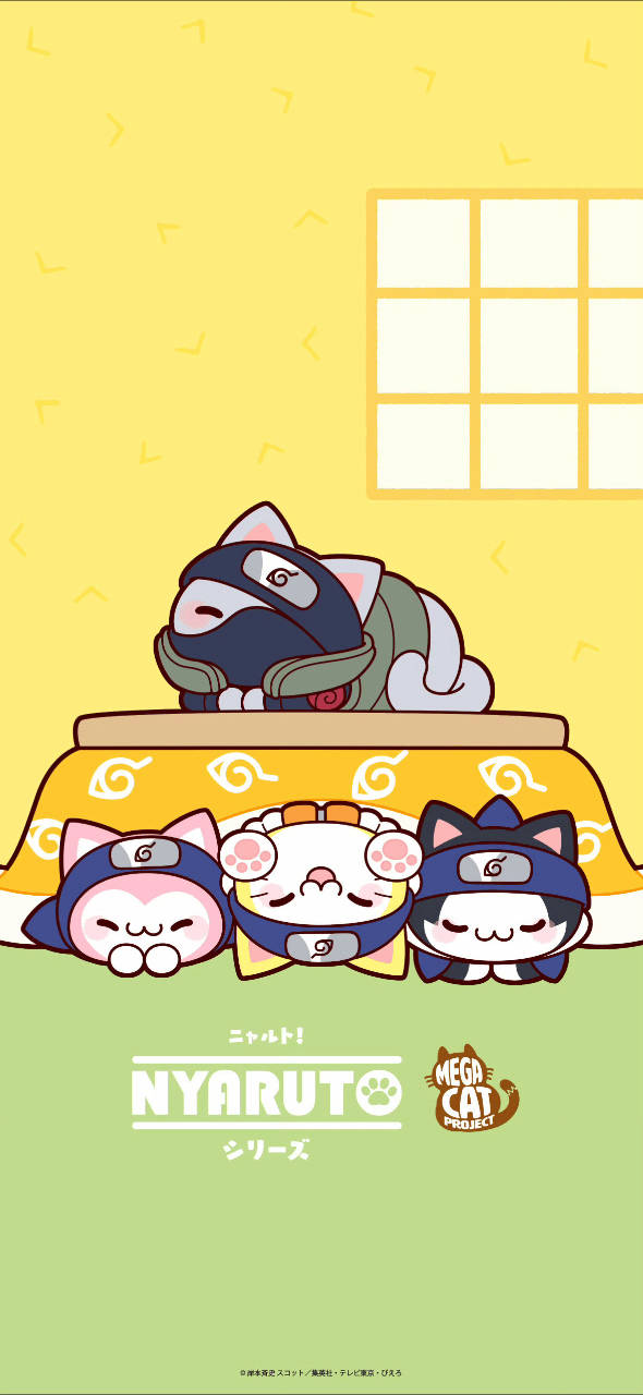 1483、【】不好好睡觉的坏小猫 ​​​