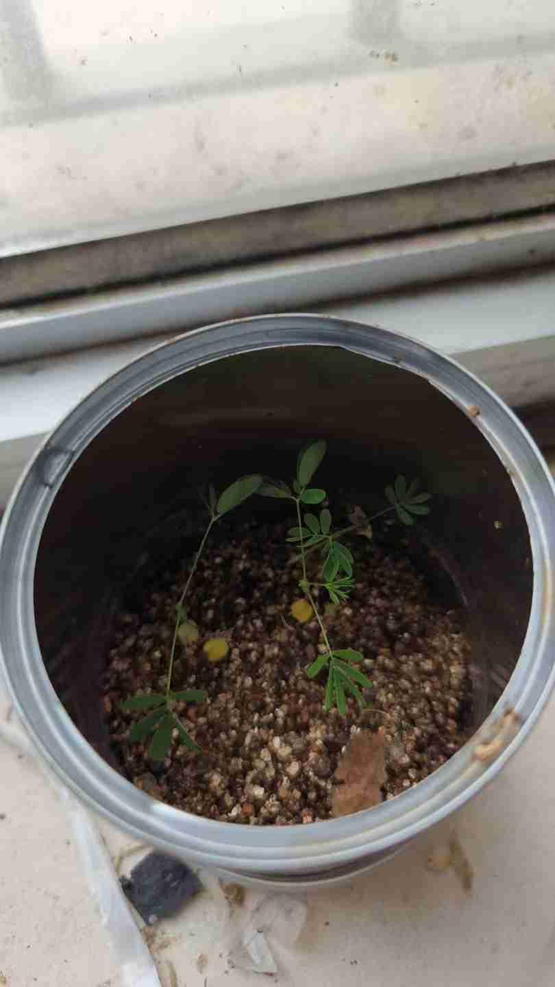 我的今日状态：😁轻松愉快
我这里的天气：🌧下雨