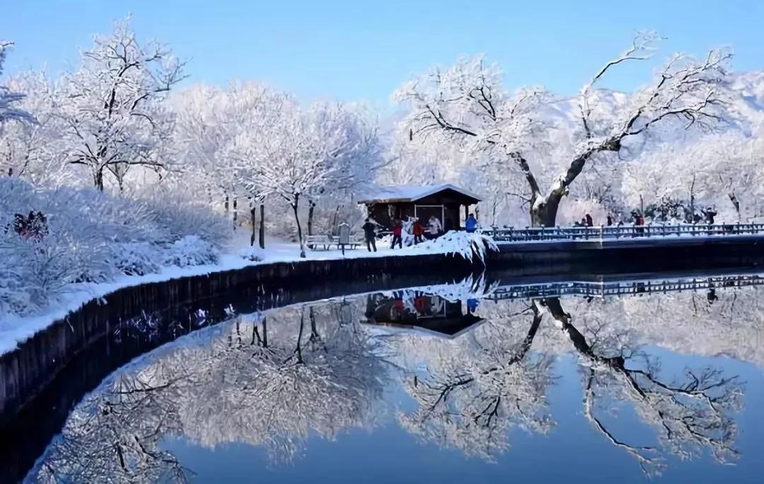 全国雪景大荟萃，太美了！#有雪的景区# #中国最美景# #嗨带你看雪景喽# #大