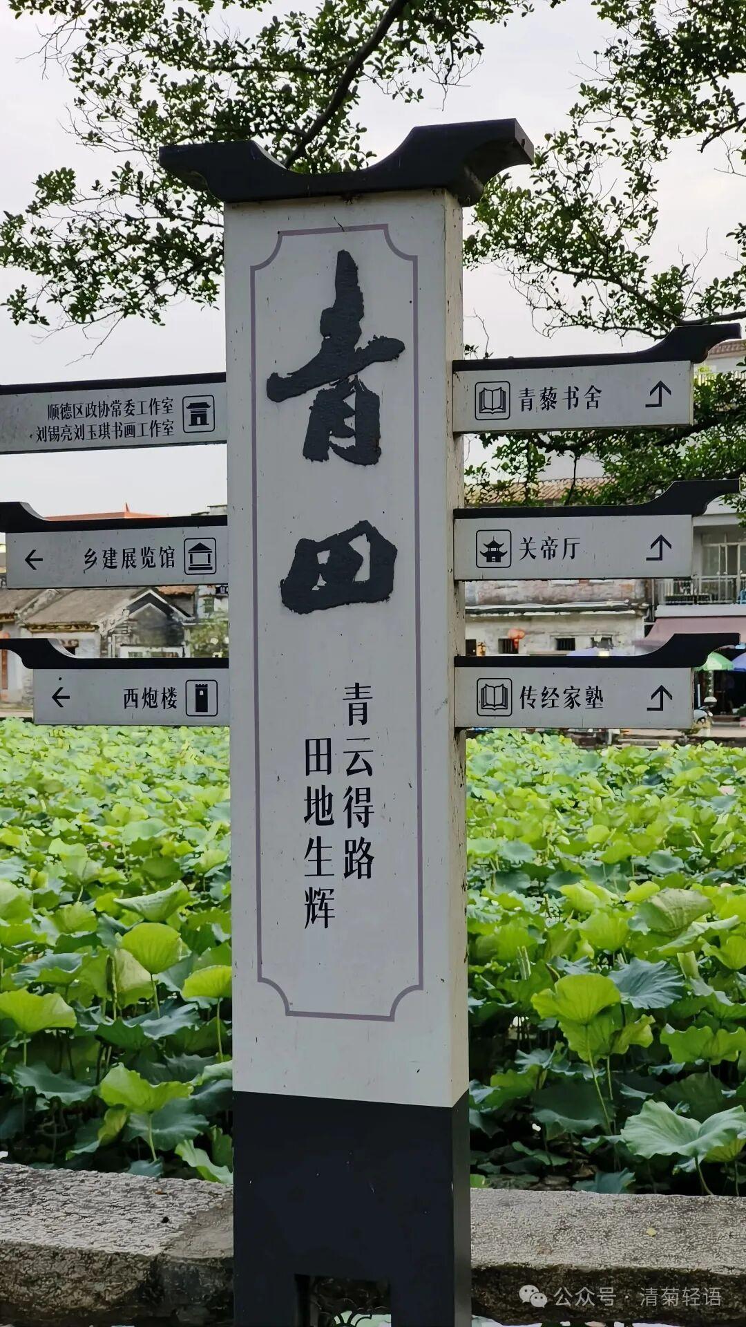 又到了一年最佳荷花盛开时节，顺德免费赏荷好去处杏坛青田村人少超舒服！

想就近赏