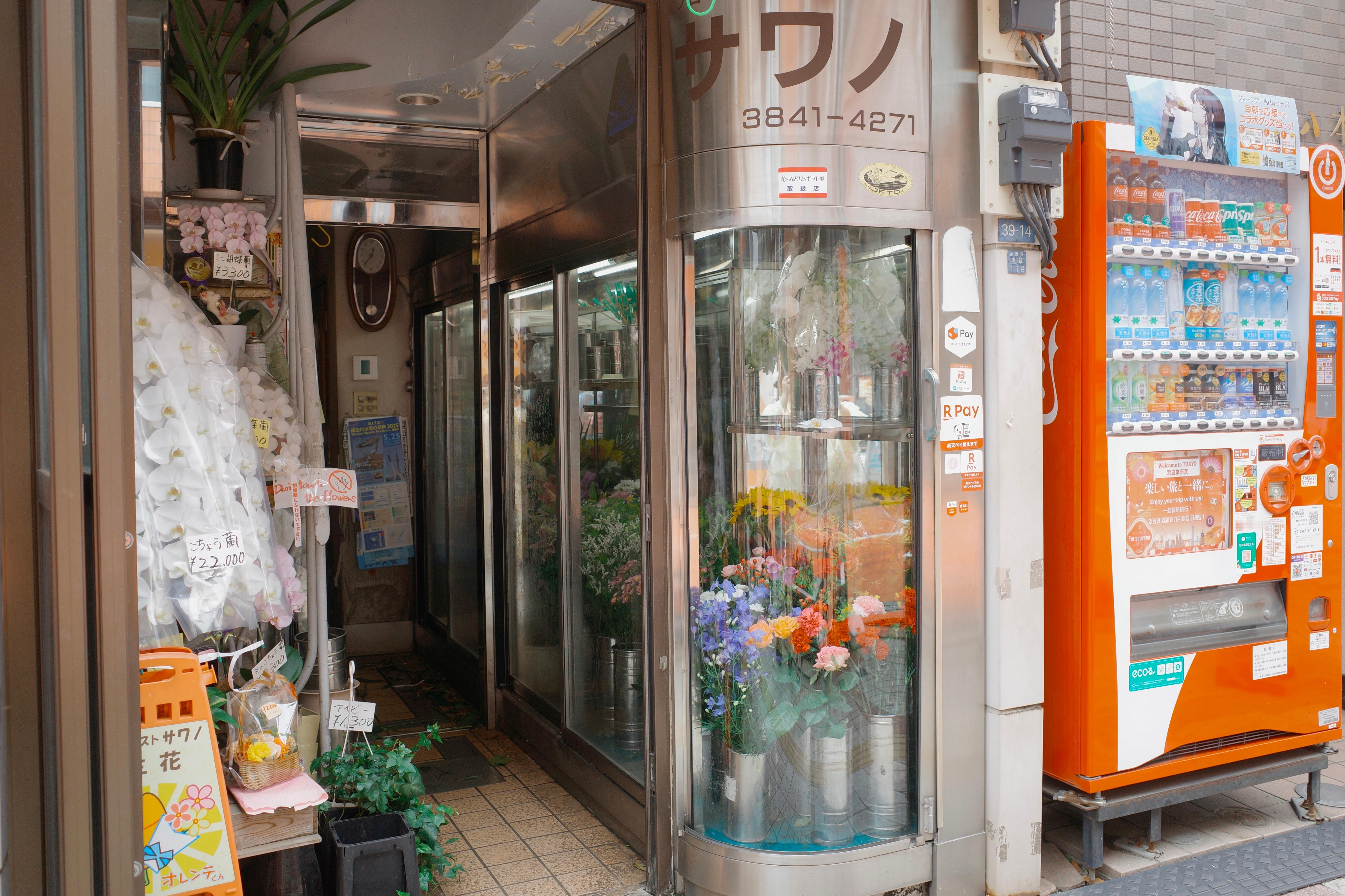 审母积累 新tag诞生了 第一站先审浅草寺 ​​​