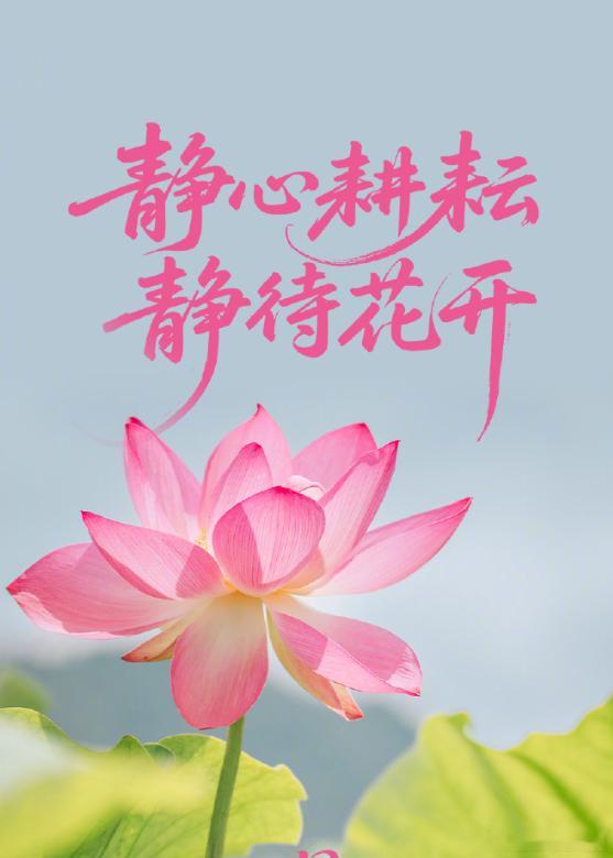 分享图片 