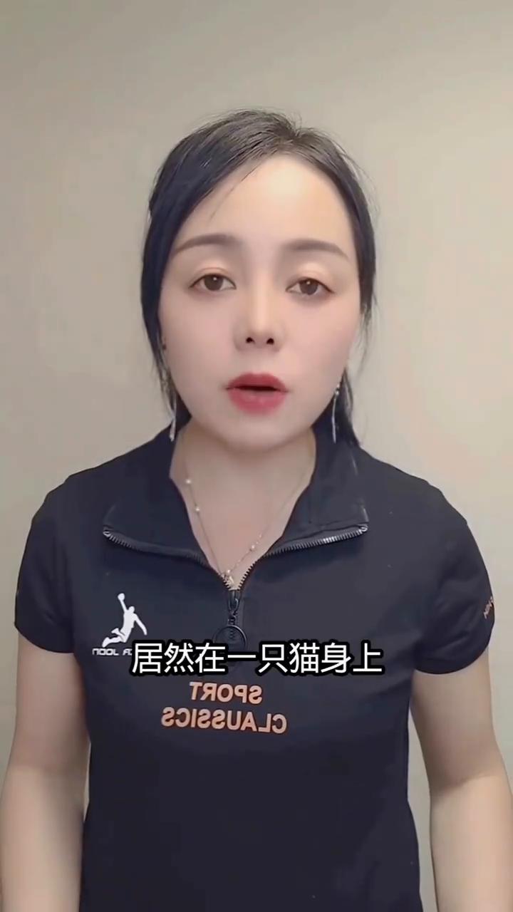 居然在猫身上看到了人的影子。
居然在一只猫身上看到了人的影子，来看个视频。谁能体