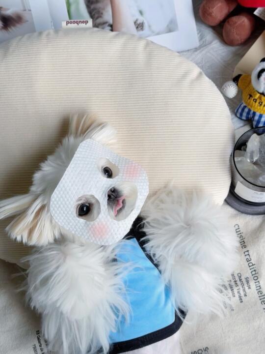 修狗の美容日记📝｜面膜打卡！