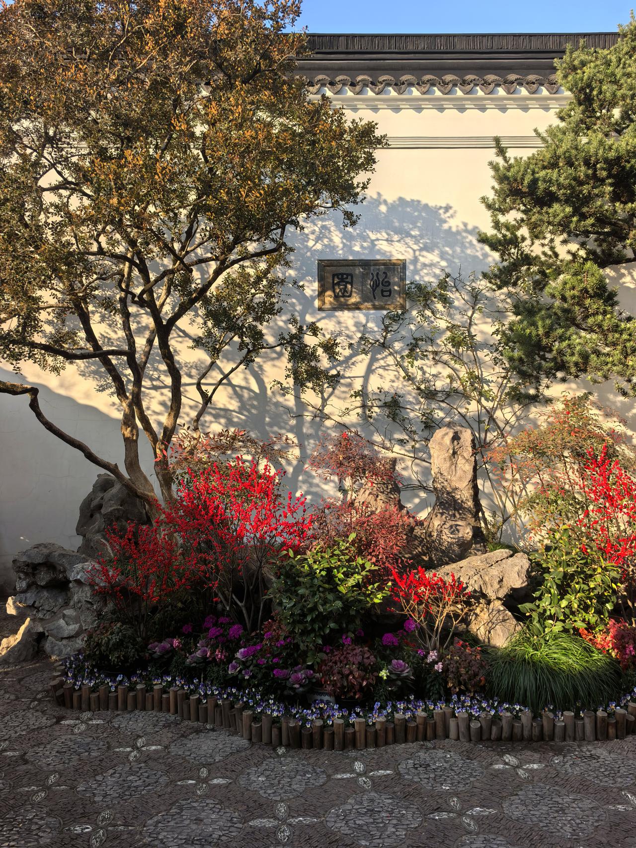 怡园冬景。苏州怡园位于姑苏区人民路1265号，是晚清苏州园林代表作，为藏书家顾文