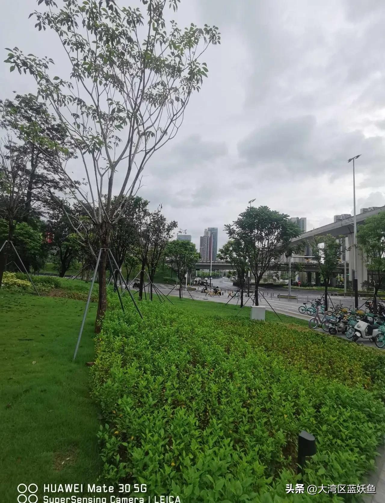 广州下一个重点发力，该不该优先建设花都？
 
不少网友提出这样的观点：天河、黄埔