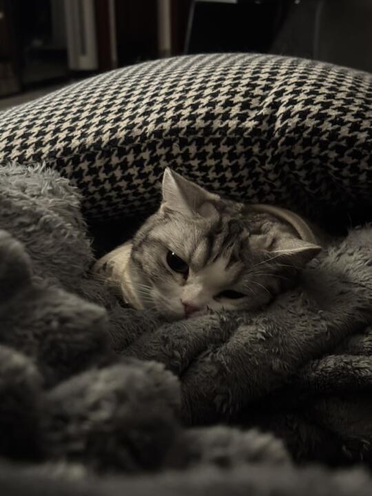 我今天有一点不开心