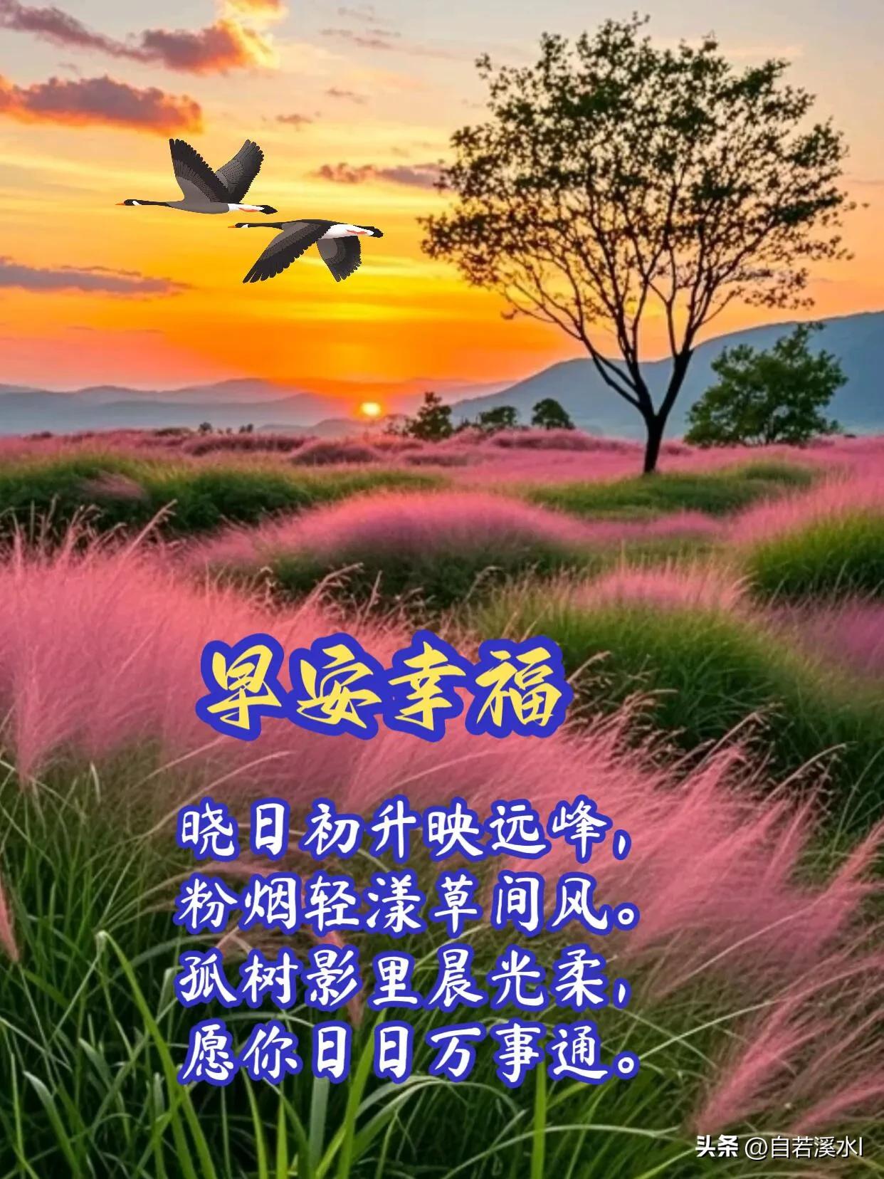 带着热忱出发，所有努力，终会开花结果。早安。