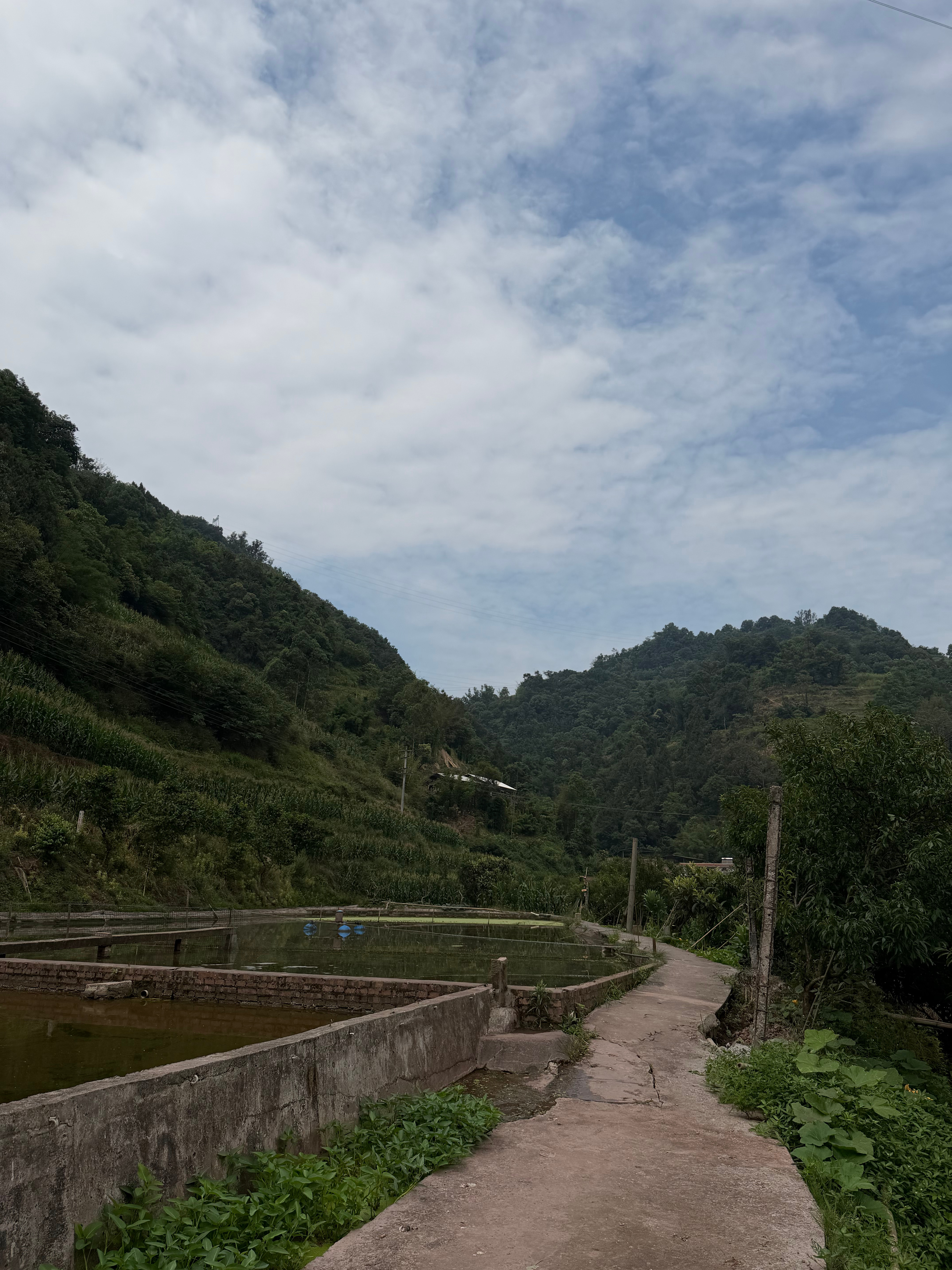 -跟着爸妈来这里钓鱼好快就钓了一条江团中午加个工消灭掉-