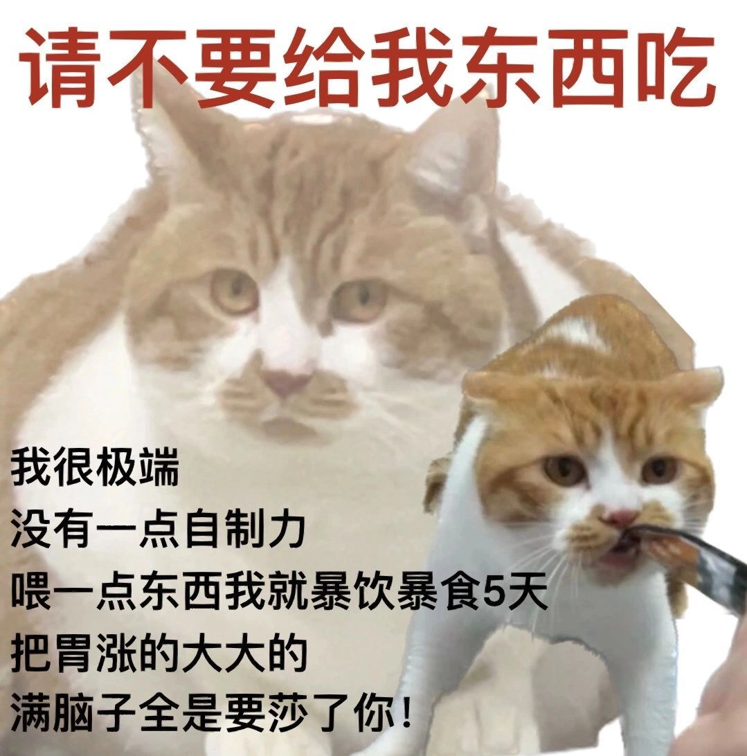我的我的减肥搭子[二哈]#我的幽默搭子# ​​​