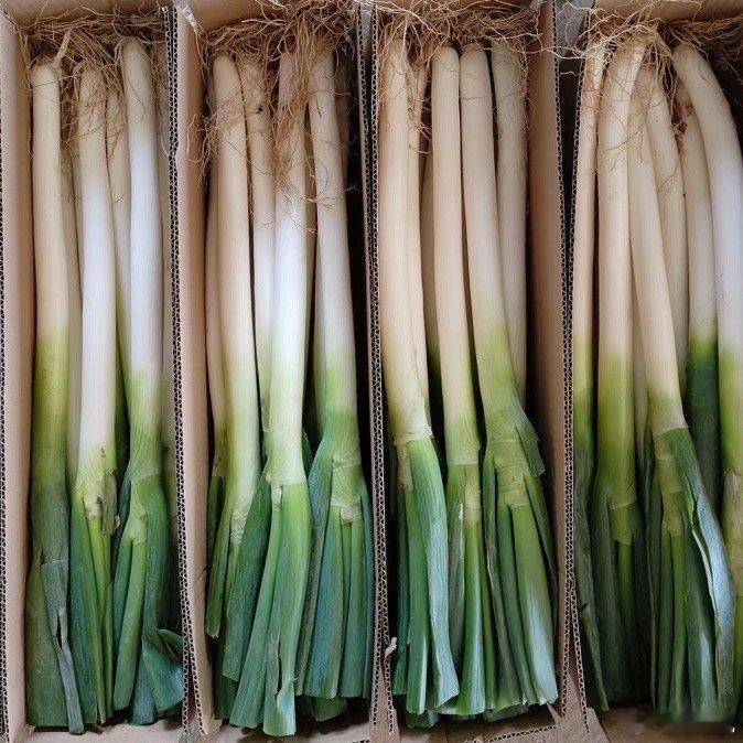 根据最新气象预报，山东今冬首场降雪将于11月17日至18日来临。山东的降雪主要集