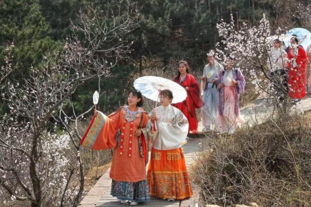 【山承百杏·金山独秀当万亩杏花遇上万里长城，这场关于春天的“顶级浪漫”，4月4日