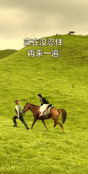 人仰马不翻。其实，一点都不好笑。
马儿太兴奋啦，把女子掀下来后，它还回头看了一眼