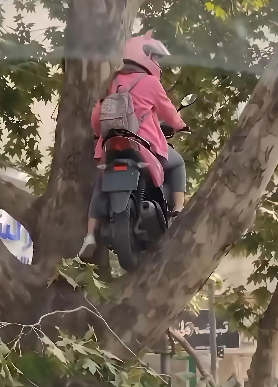 她是怎么飞上去的，专业的骑手都未必有这技术吧！