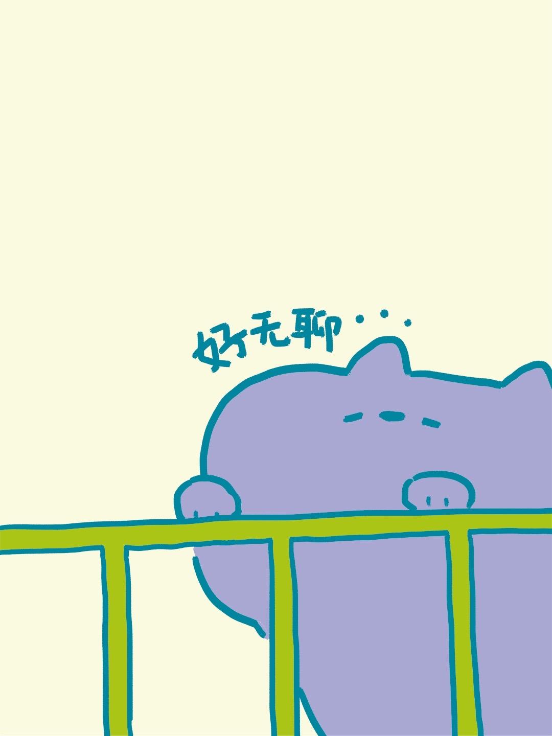 今天是国际猫咪日！园长祝所有小猫咪节日快乐！