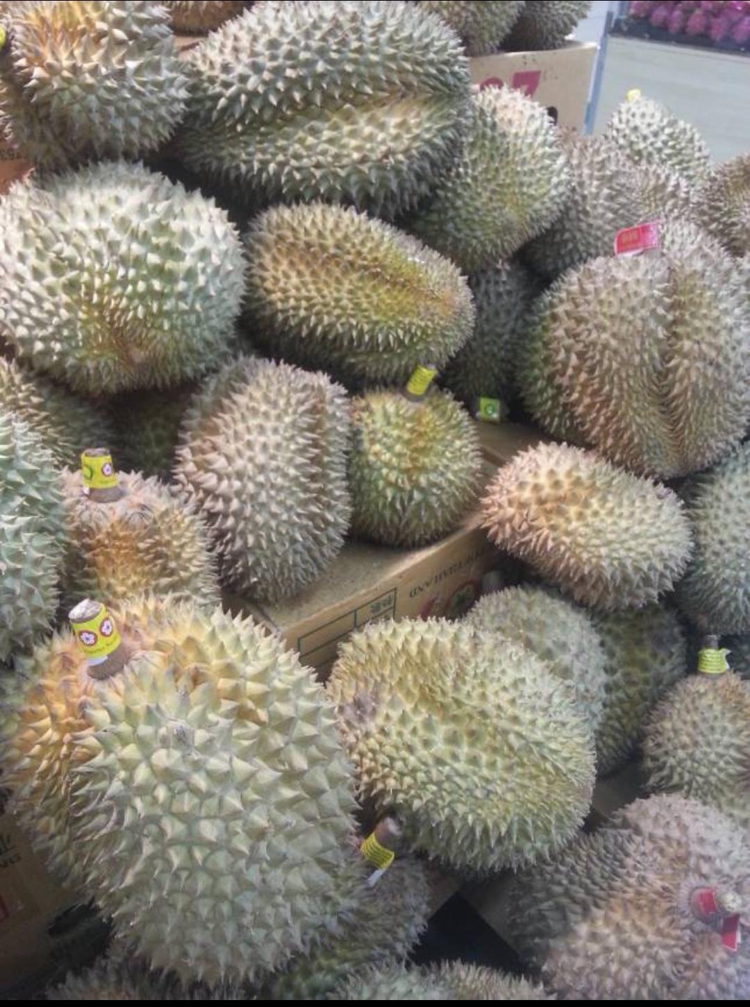 小朋友的社交真是令人羡慕啊！

在电梯里遇见几个六七岁的小朋友，听对话应该是其中