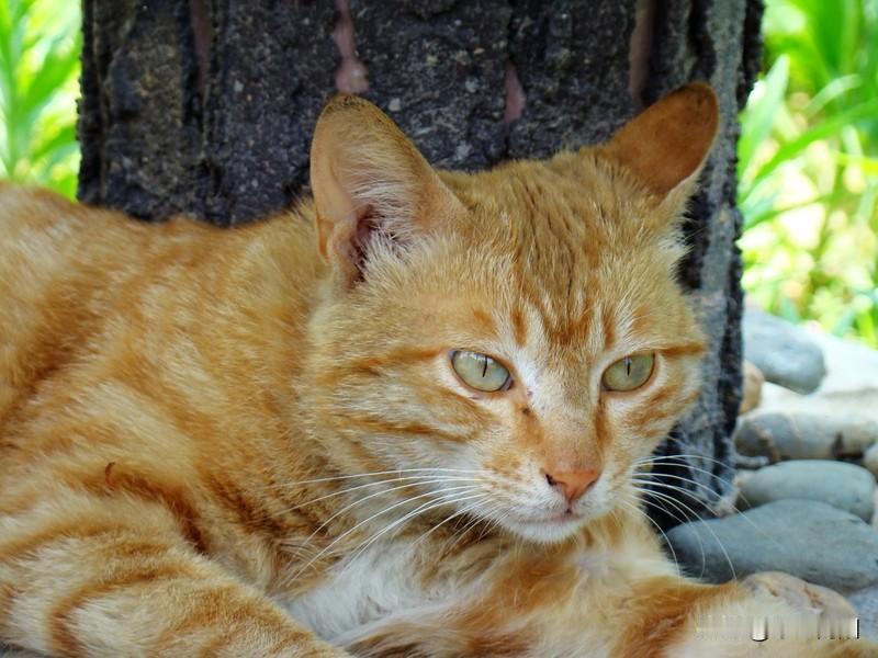 这是一个星期二的下午两点半。
当这座城市的CBD里，无数个键盘正在被疯狂敲击、无