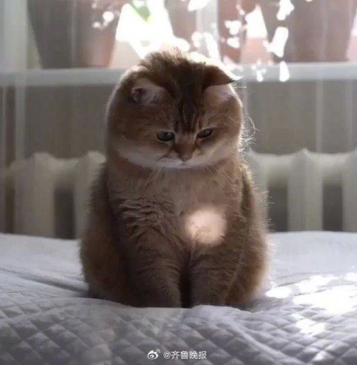 #早安# 每个人在这世上都是唯一，做就做最真实的自己。 