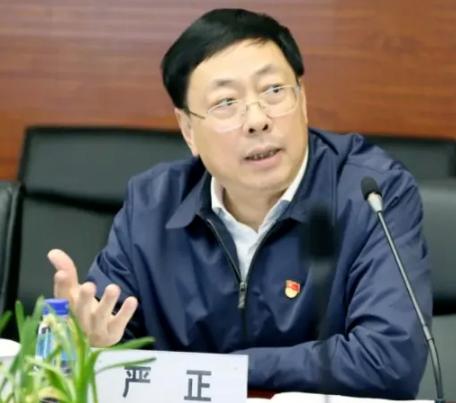 横跨国企与金融，从监管者变成经营者，福建省政协经济委员会原副主任严正涉嫌严重违纪