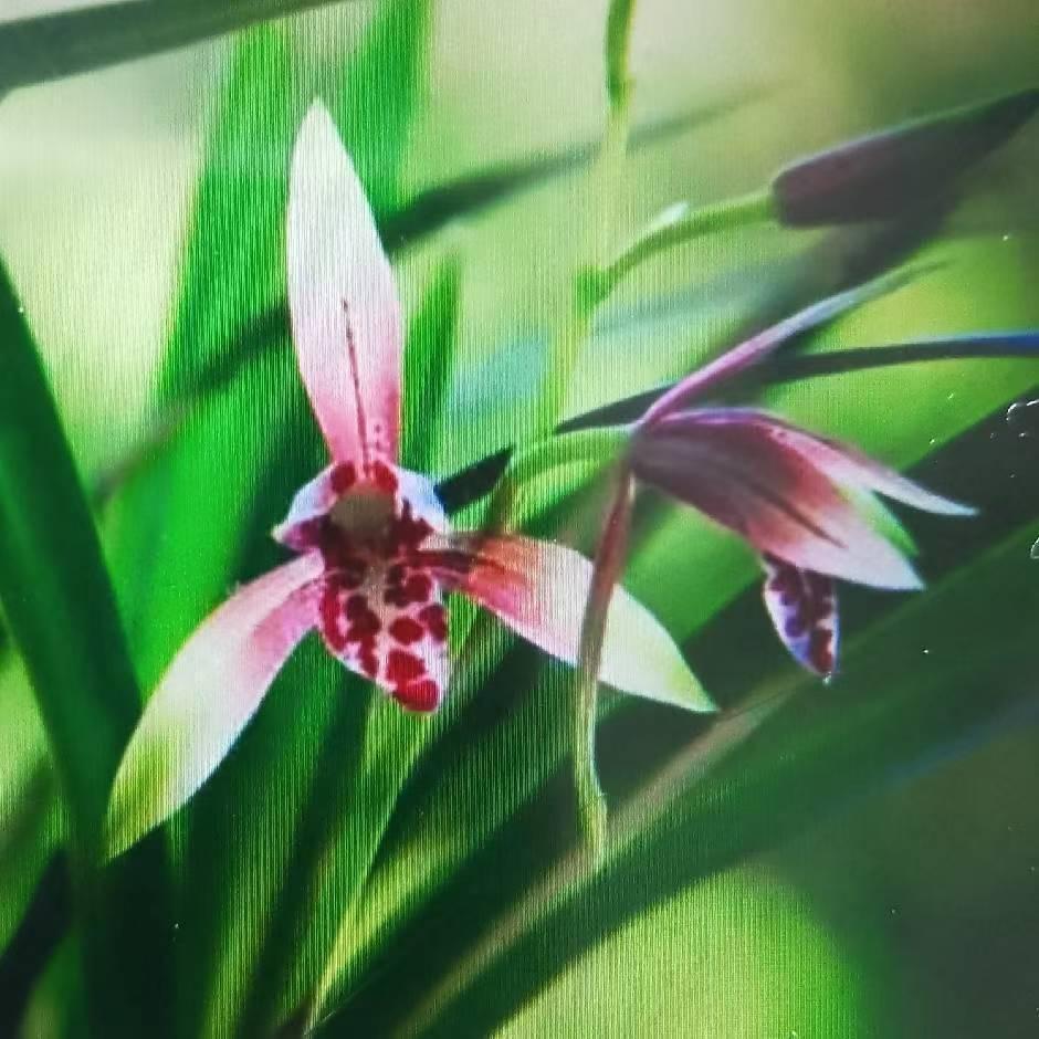 经常背后说人坏话，那肯定不好啊。这种人道德品质就不咋滴，很容易被人看不起。大家会