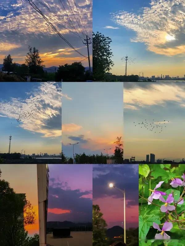 清晨，阳光透过轻薄的窗帘，温柔地洒在脸上。我悠悠转醒，伸个懒腰，新的一天就此开启
