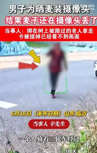 “真是个悲伤的故事！”山东临沂，辛先生收了麦子铺在路边晾晒，怕被偷花500多买了