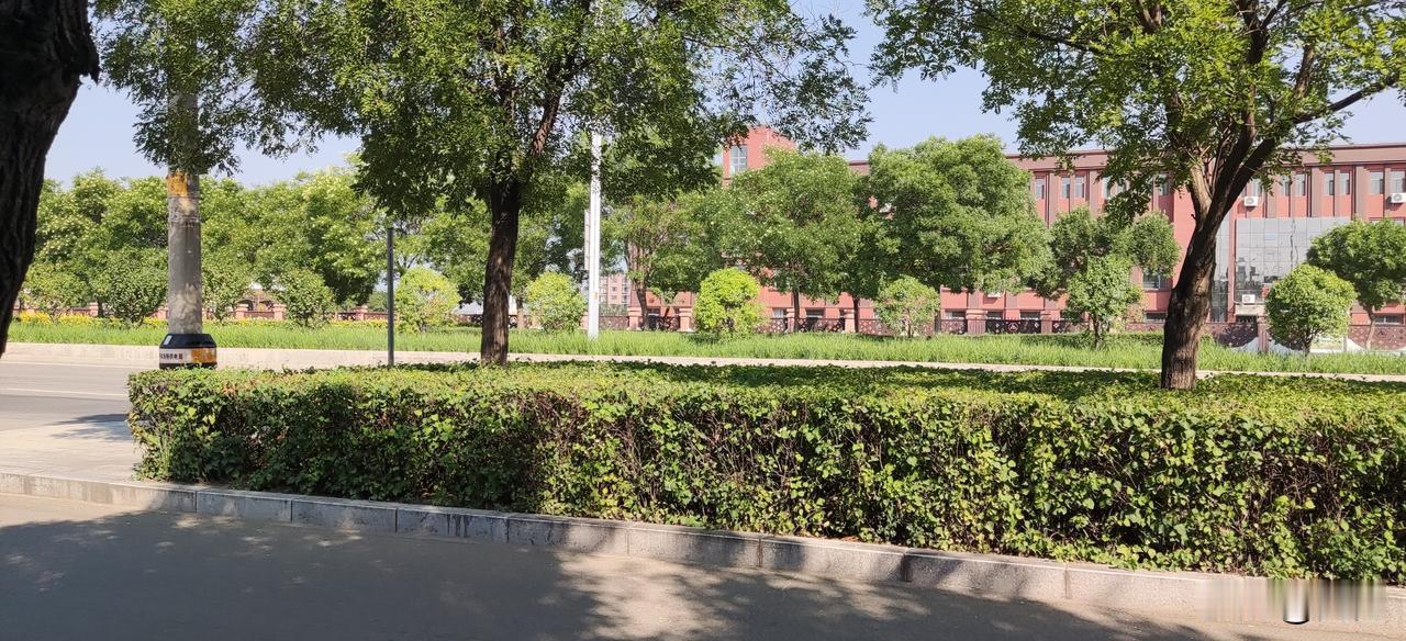 今天呼和浩特气温上升到33°。中午炙烤的厉害。晚上也没有风，整个城市像被热火炉包