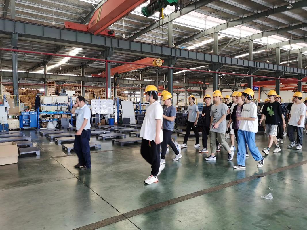 中央亮剑，十五五直接戳破现实假象！本科文凭遍地走，一边大学生内卷，一边工厂、实验
